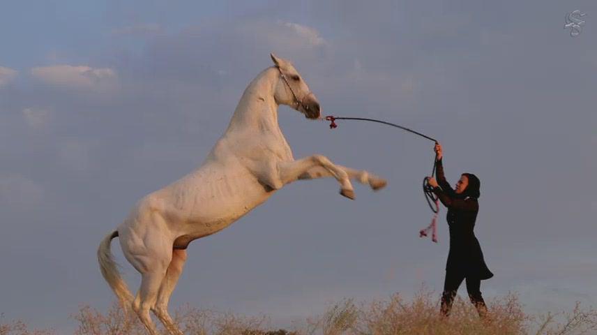 افتاده از اصل